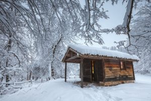 Ice in Cabin