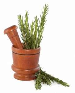 Rosemary Stock Photo