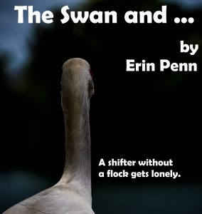 theswan-holding-cover