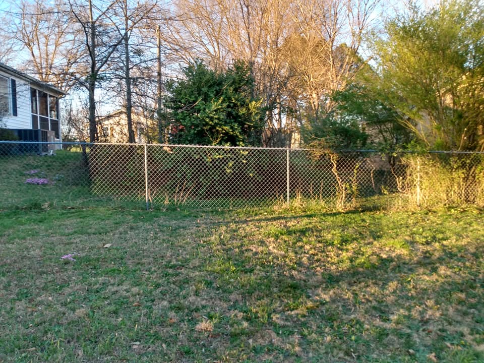 Picture of backyard behind fence